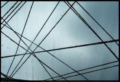 Imágenes abstractas de la TELA DE ARAÑA.