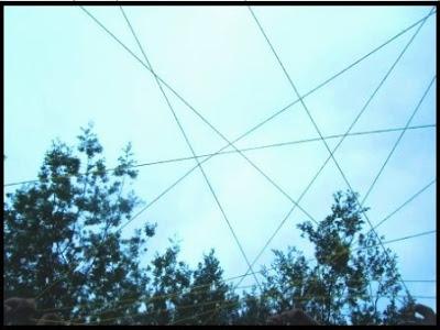 Imágenes abstractas de la TELA DE ARAÑA.