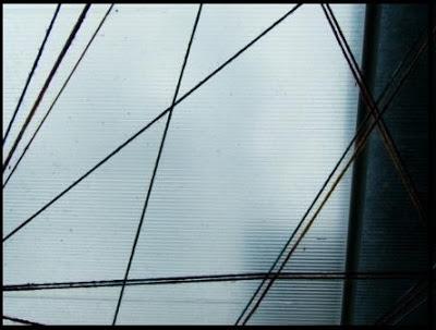 Imágenes abstractas de la TELA DE ARAÑA.