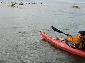 remada tres horas bahía punta arenas continuó encuentro internacional kayak