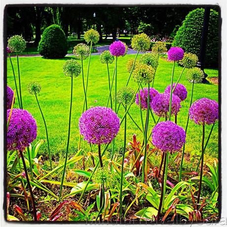 Un viaje por el corazón de Boston a través de Instagram