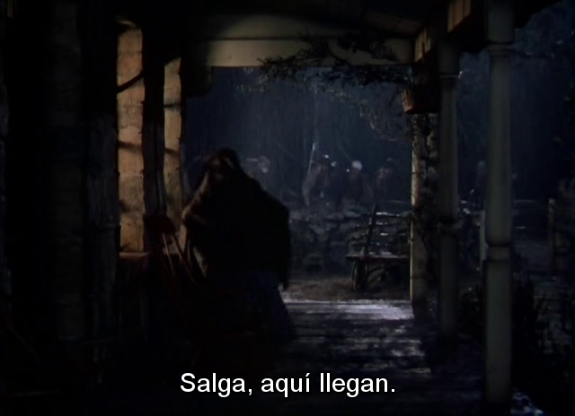 John Ford ( y VIII de VIII )