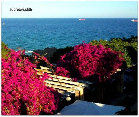 Bouncing SUMMER Bouncing SUMMER