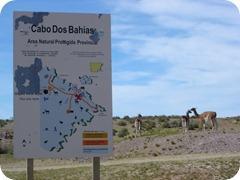 cabo dos bahias cartel