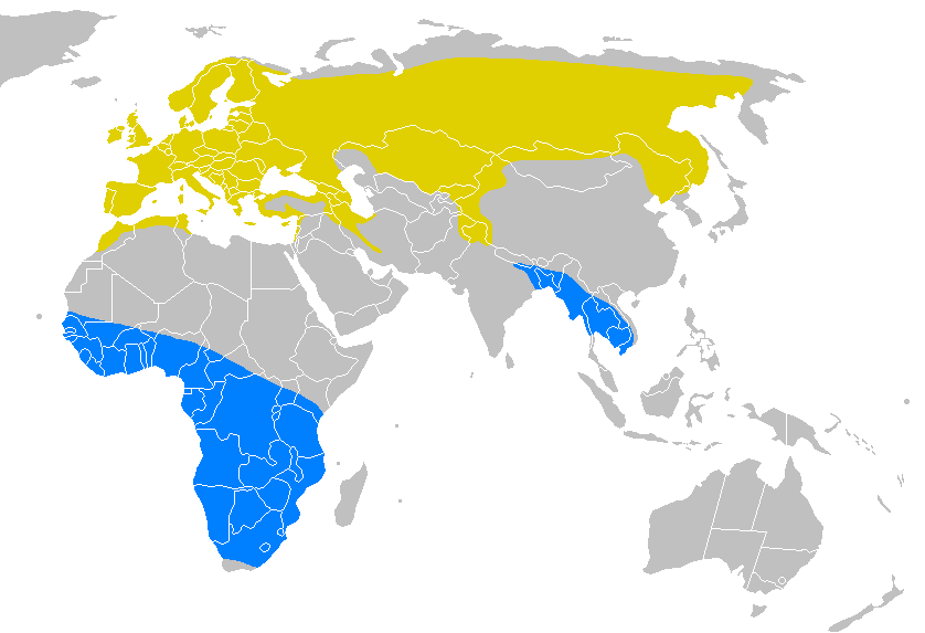 Tráfico de aviones