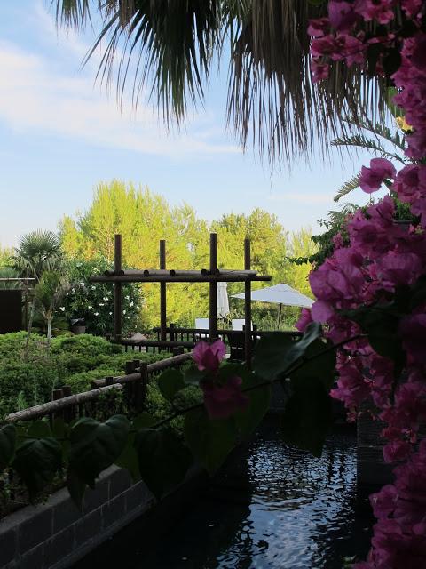 Una escapada muy apetecible.....