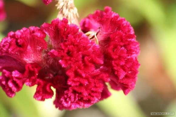 Haz clic para visitar la entrada original