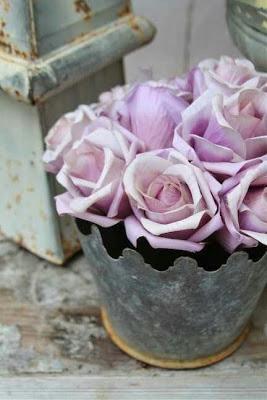 Imágenes de la semana