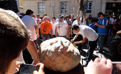 Calabazas Gigantes en Valtierra, Récord