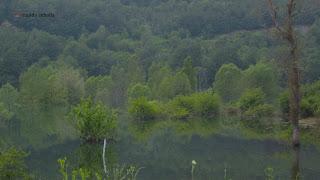 Embalse de Búbal, Pueyo de Jaca, Polidas chamineras