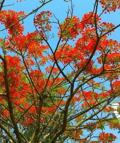 ♥ Volviendo a la Rutina. Algunos consejos para que sea más llevadera...