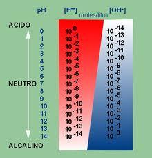 Pero, ¿Qué es el PH?.