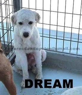 ESTÁN FUERA DE PLAZO!!!!!!!!!!!!