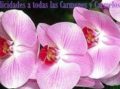 Felicidades todas Carmenes Carmelos