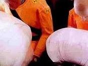 Airbags medida