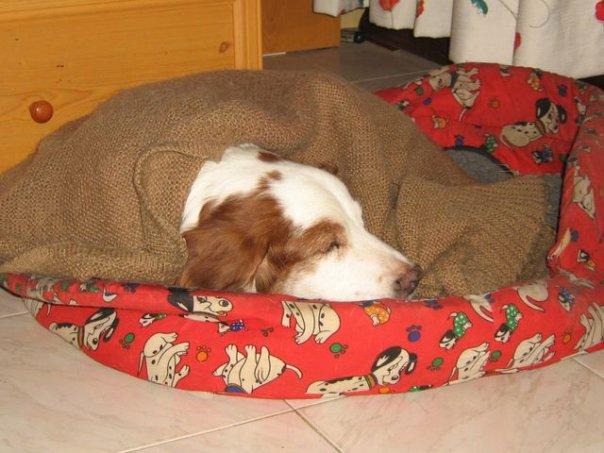 Respecto a los correos. Una sonrisa