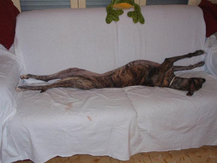 Respecto a los correos. Una sonrisa