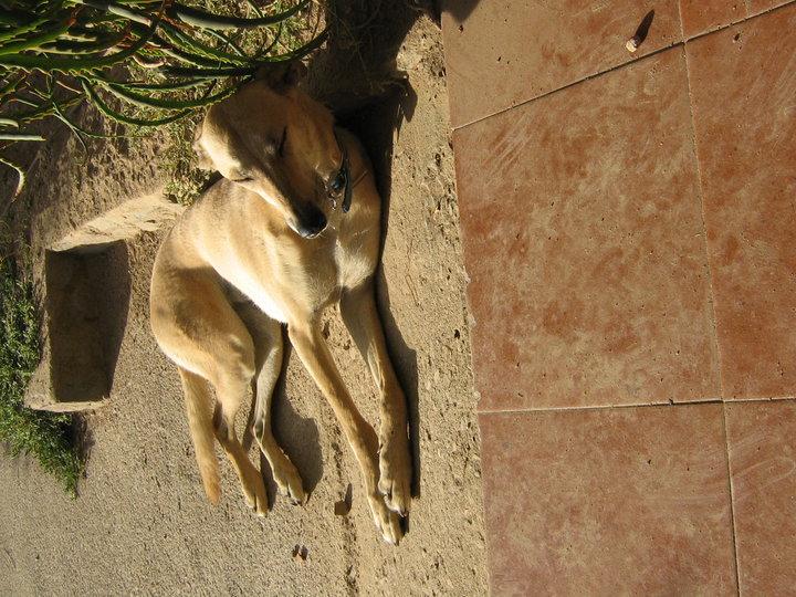 Respecto a los correos. Una sonrisa