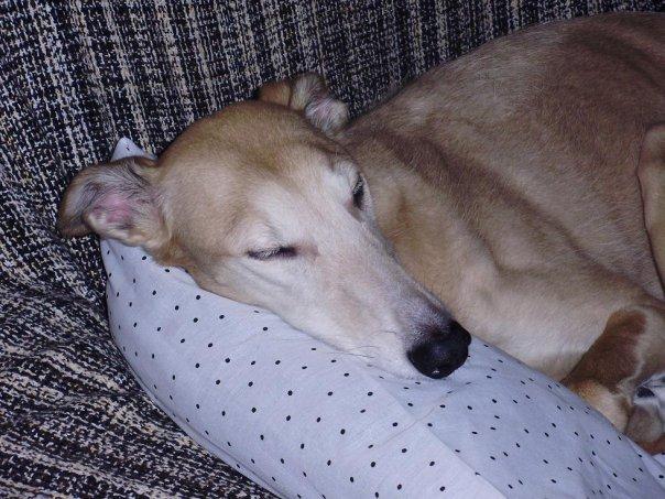 Respecto a los correos. Una sonrisa