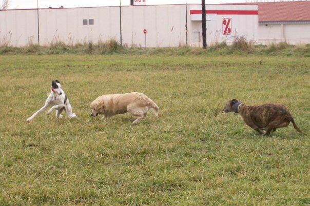 Respecto a los correos. Una sonrisa
