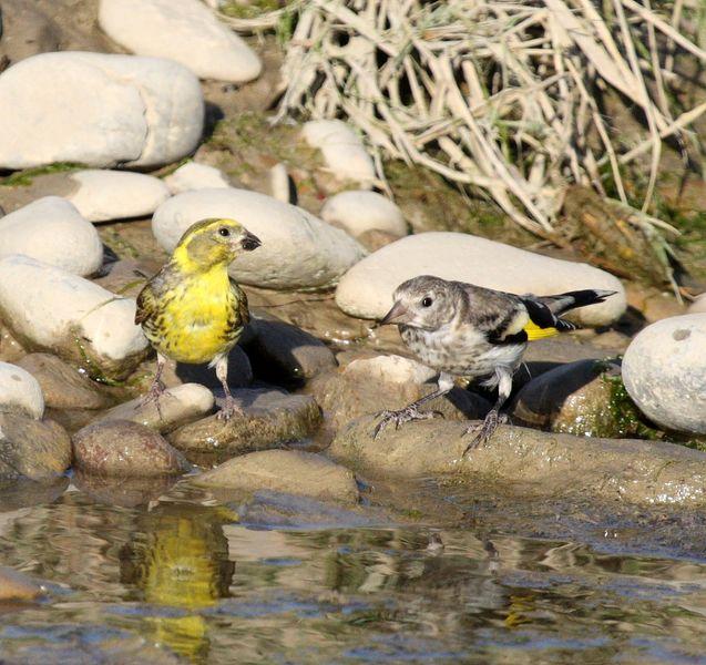 2ª SALIDA DE JULIO AGUA Y SED/2nd JULY OUT WATER AND SED
