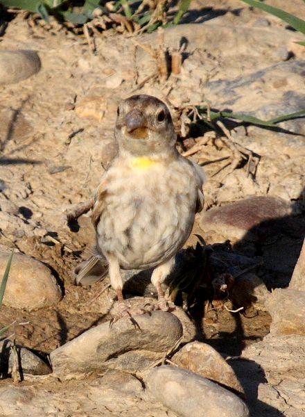 2ª SALIDA DE JULIO AGUA Y SED/2nd JULY OUT WATER AND SED