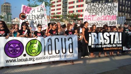 Exitosa manifestación antitaurina en Alzira