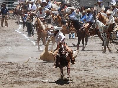 Enormes en el Circuito Excelencia Ford 2010