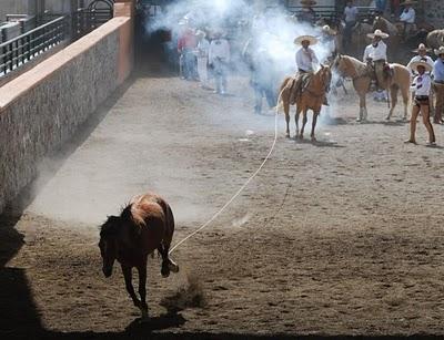 Tamariz “B” va Octavo en el  Circuito Excelencia Ford 2010