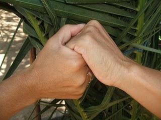 ¿ Donde están las amistades ?