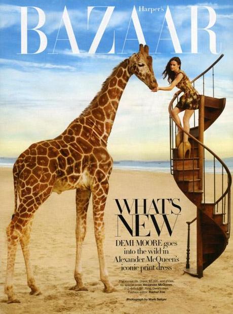 News + Harper's Bazaar