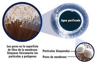 Purificador microbiológico del agua