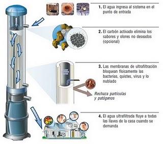 Purificador microbiológico del agua