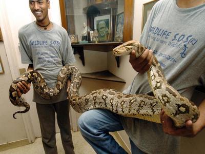 noticias, mundo, deporte, gastronomia, cine, tecnologia, ciencia, arte, filosofia, musica