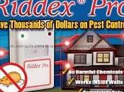 Ahuyentador jóvenes