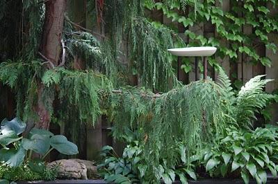 Cómo hacer un Bebedero para pájaros de lo más barato