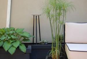 Cómo hacer un Bebedero para pájaros de lo más barato