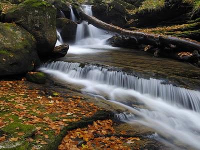 Ciclos de Paisaje.