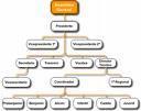 Elementos clave organización formal: estructura organizativa