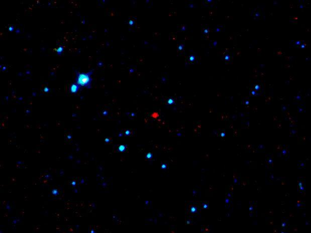 noticias, mundo, deporte, gastronomia, cine, tecnologia, ciencia, arte, filosofia, musica