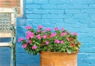 Bright Blue Brick Wall  exterior