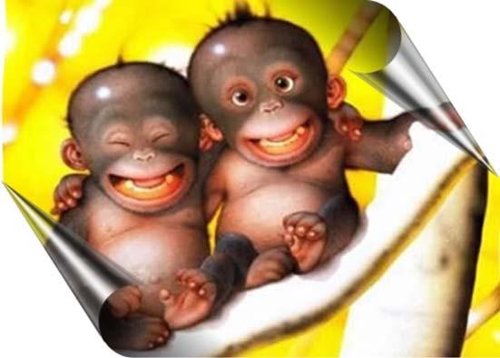 curso illustrator, curso photoshop, curso dreamweaver, diseno grafico, diseño web, curso after effects