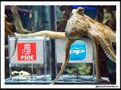 ganará elecciones según pulpo Paul