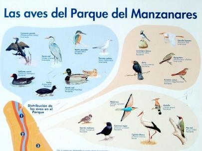 Parque Lineal del Manzanares