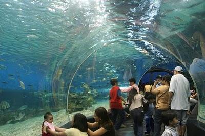 EL OCEÁNARIO DE SINGAPUR, UNDERWATER WORLD