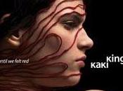 Kaki King