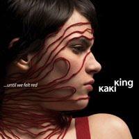 Kaki King