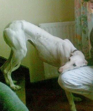 Muy interesante...opiniones que hay que leer.