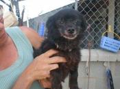 Yayo, dejemos este final.