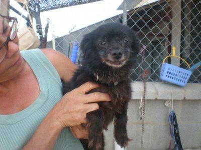 Yayo, no dejemos que este sea su final.